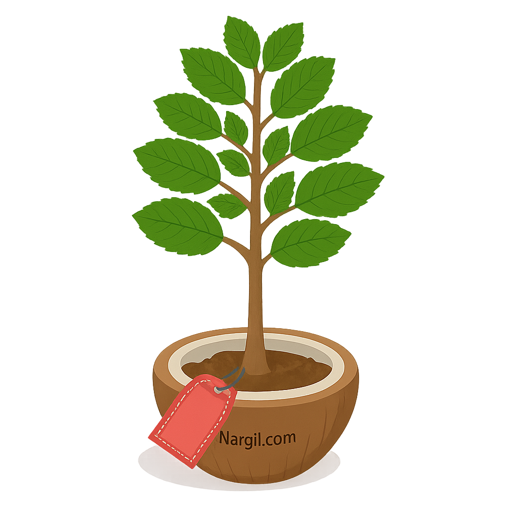  Nargil - common horn beam